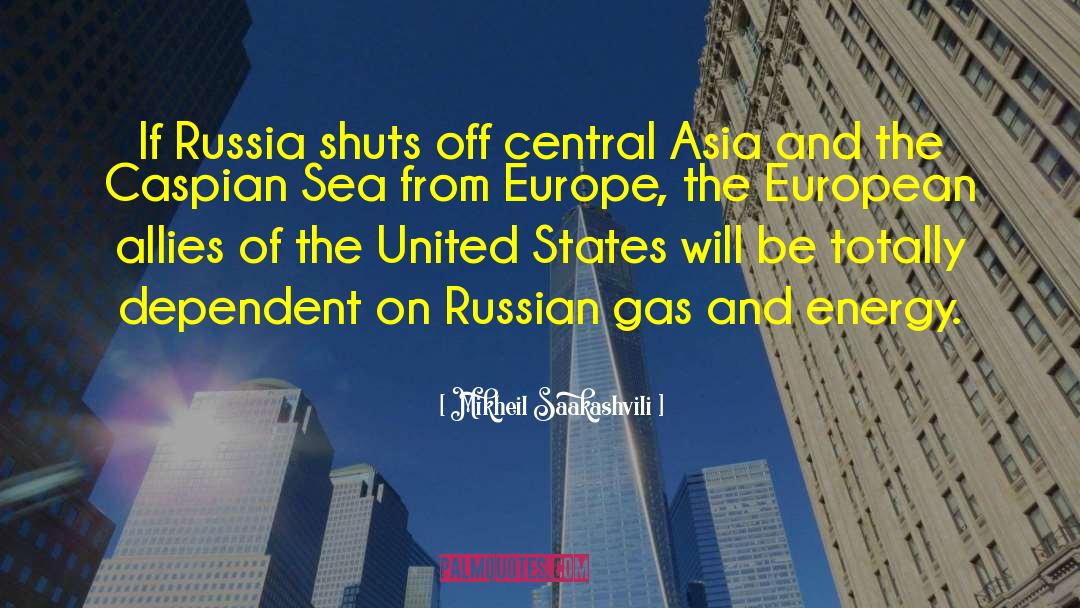 Central Asia quotes by Mikheil Saakashvili