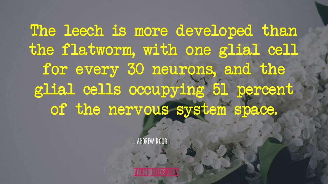 Central Nervous System quotes by Andrew Koob