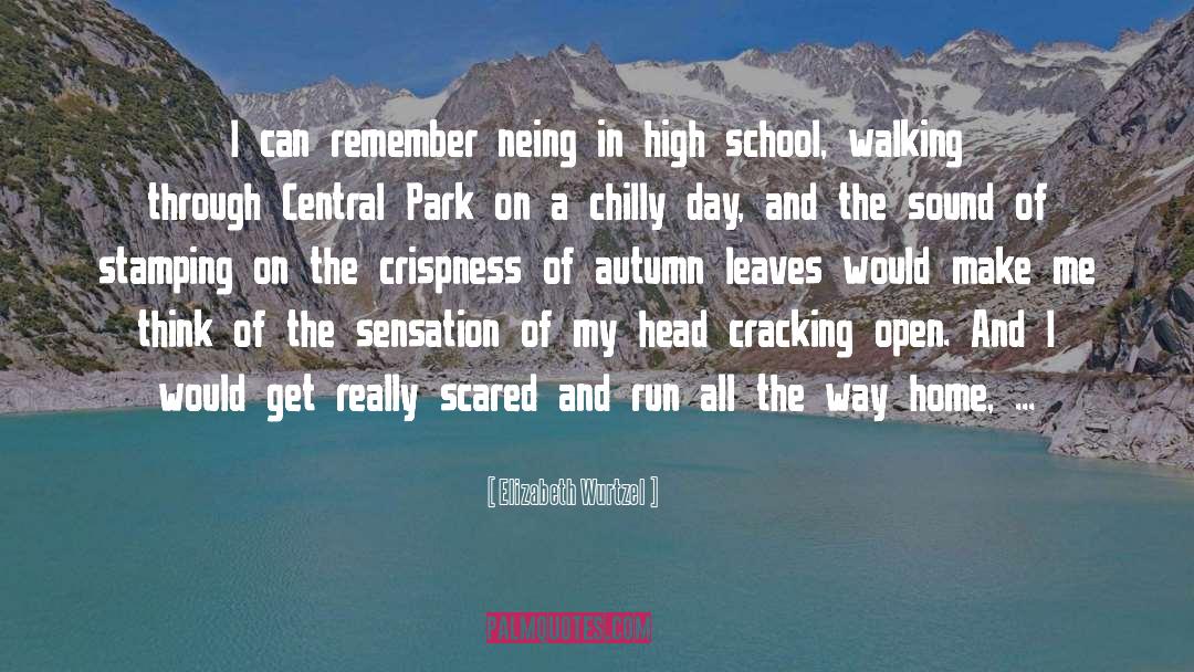 Central Park quotes by Elizabeth Wurtzel