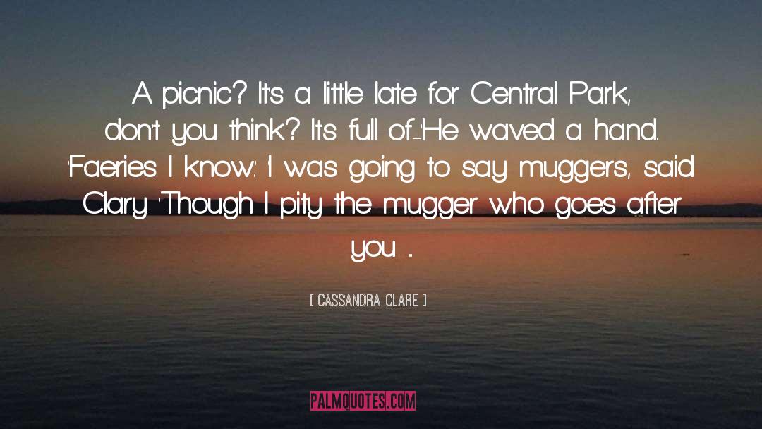 Central Park quotes by Cassandra Clare