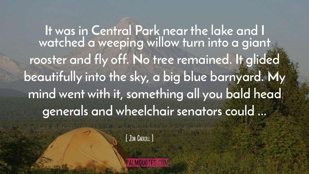 Central Park quotes by Jim Carroll
