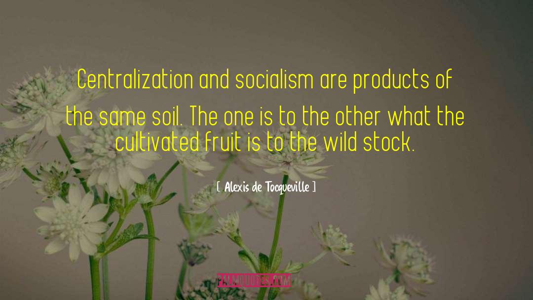 Centralization quotes by Alexis De Tocqueville