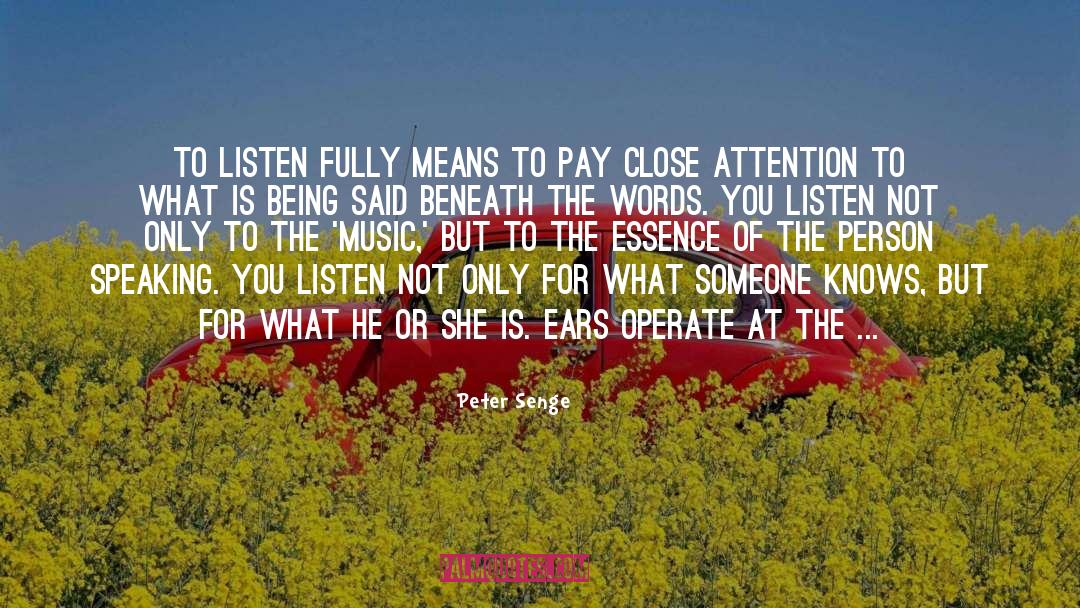 Centre Of Attention quotes by Peter Senge