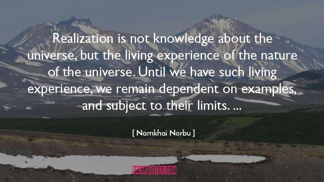 Centrifugation Examples quotes by Namkhai Norbu
