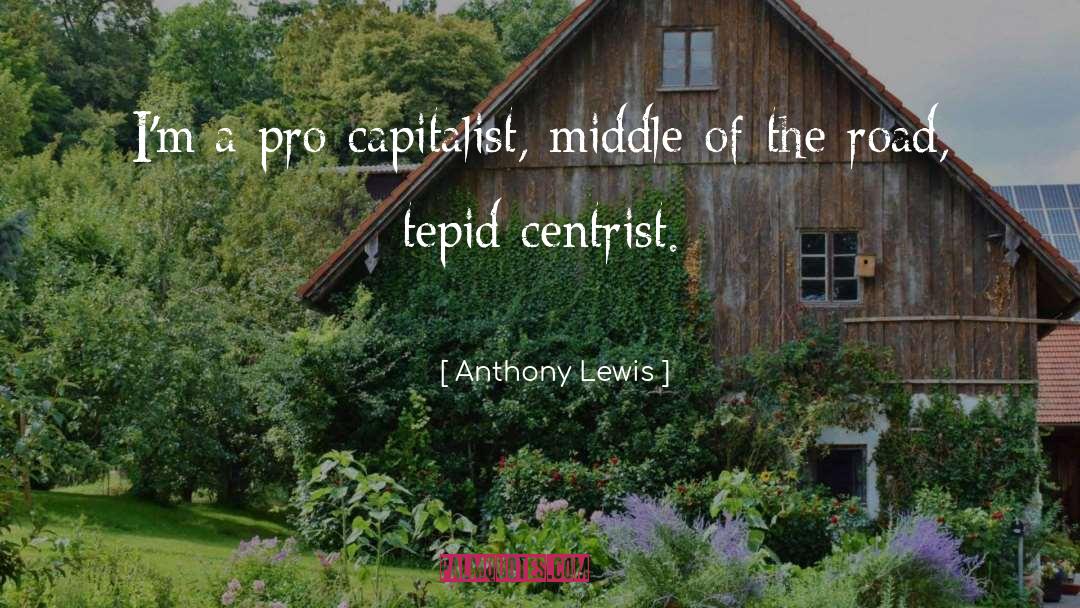 Centrist quotes by Anthony Lewis