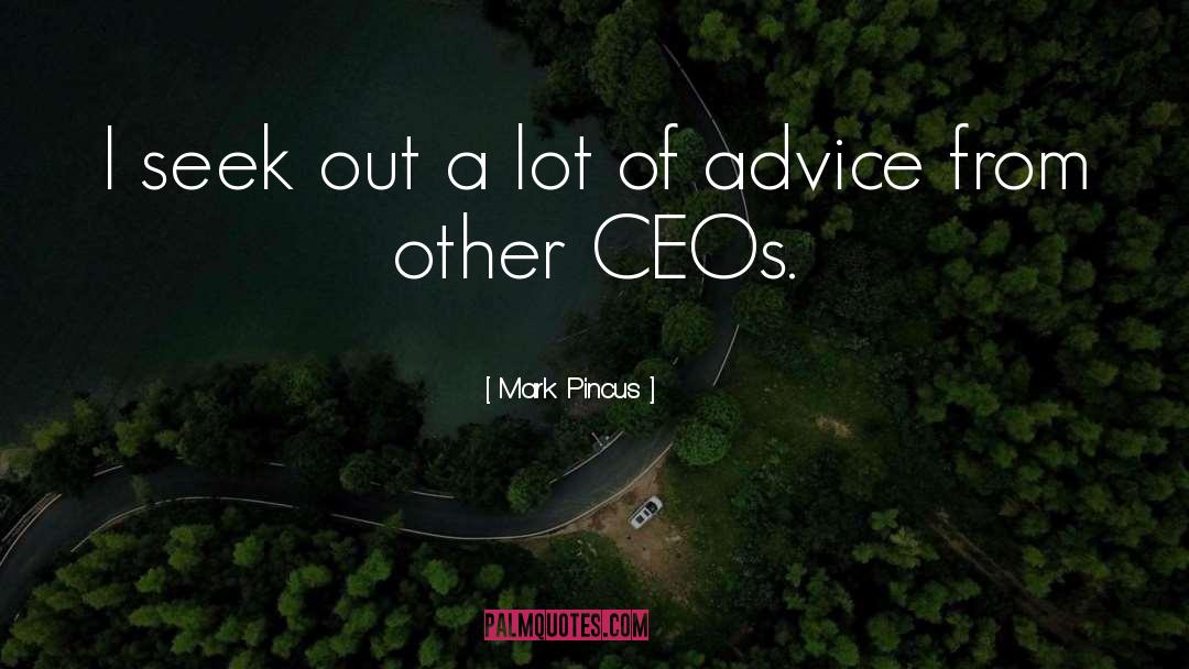 Ceos quotes by Mark Pincus