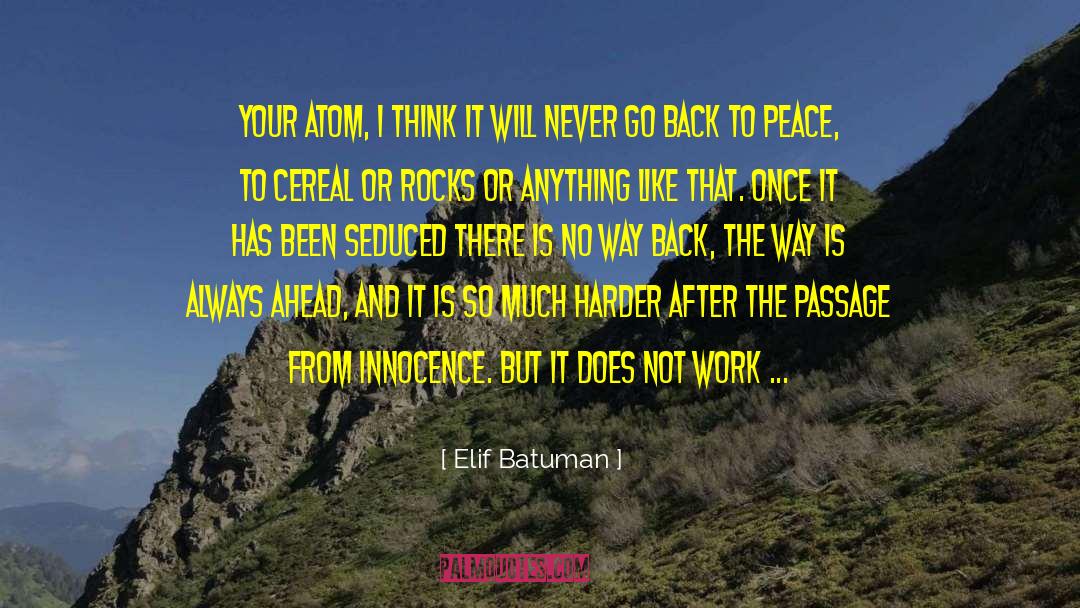 Cereal quotes by Elif Batuman