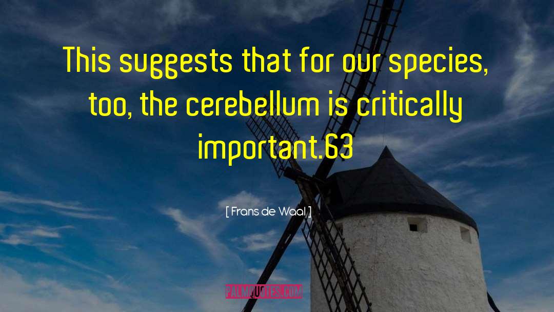 Cerebellum quotes by Frans De Waal