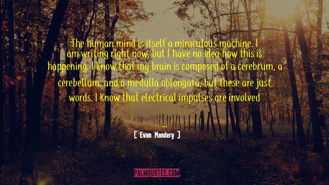 Cerebellum quotes by Evan Mandery