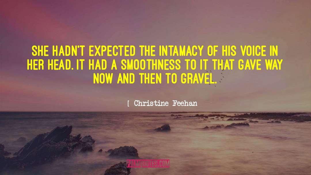 Cersosimo Gravel quotes by Christine Feehan