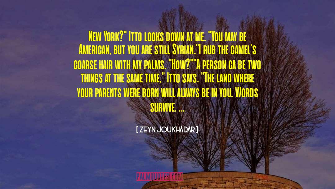 Certum Ca quotes by Zeyn Joukhadar