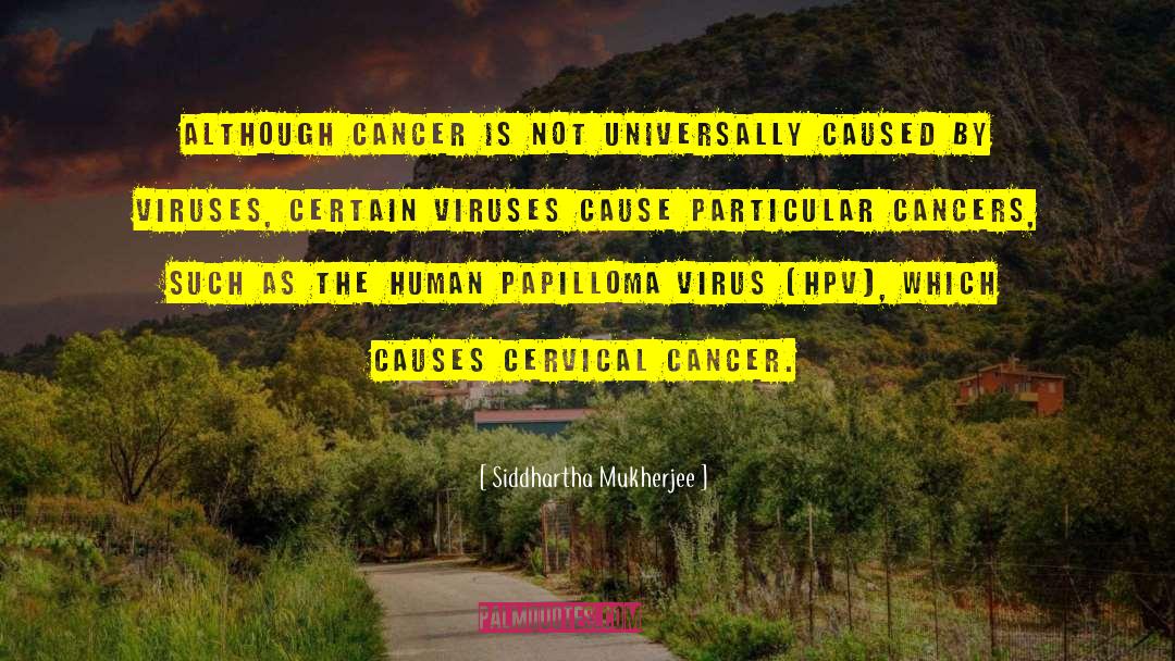 Cervical Cancer quotes by Siddhartha Mukherjee