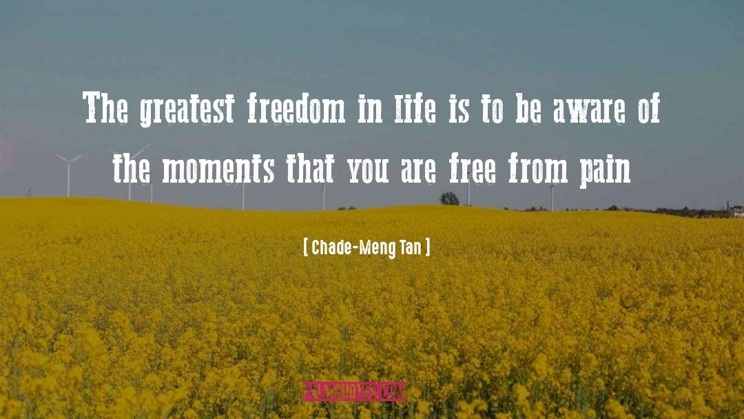 Chade quotes by Chade-Meng Tan