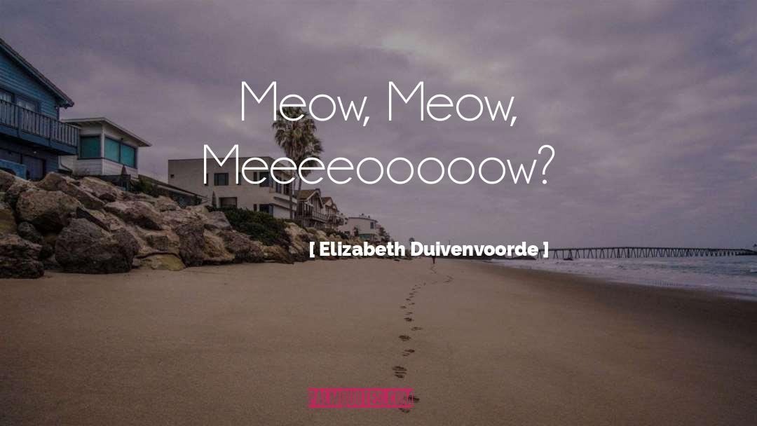 Chairman Meow quotes by Elizabeth Duivenvoorde