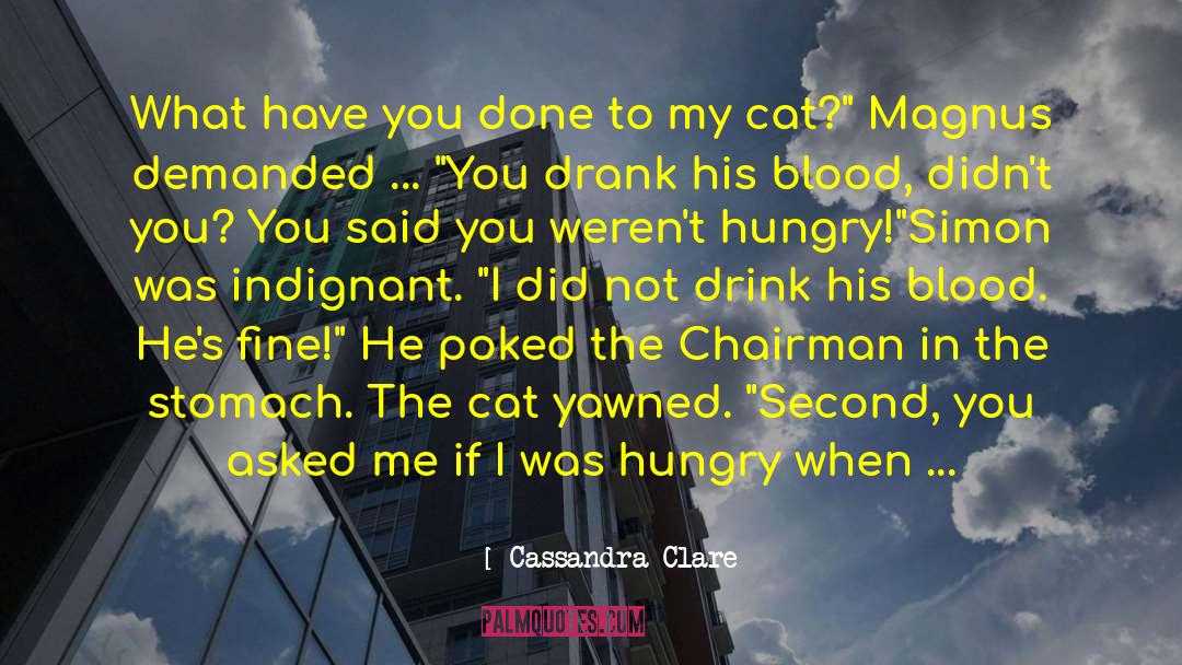 Chairman Meow quotes by Cassandra Clare