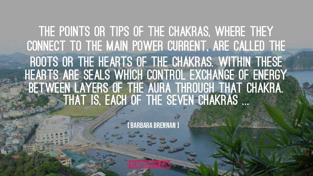 Chakras quotes by Barbara Brennan