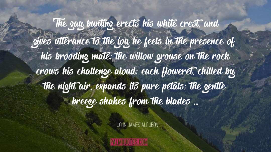 Challenge Others quotes by John James Audubon