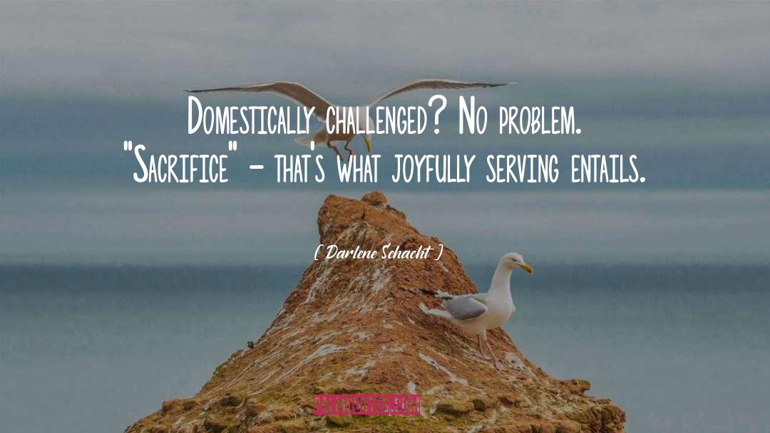 Challenged quotes by Darlene Schacht