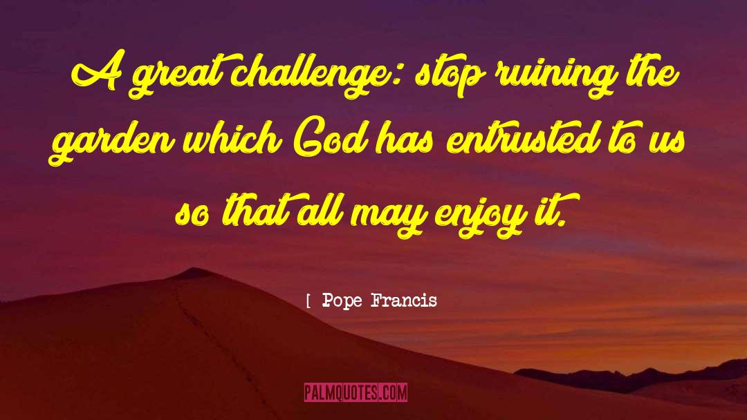 Challenges Globally quotes by Pope Francis