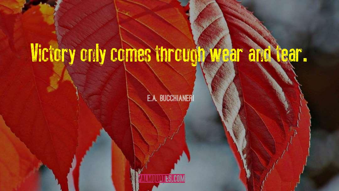 Challenges In Life quotes by E.A. Bucchianeri