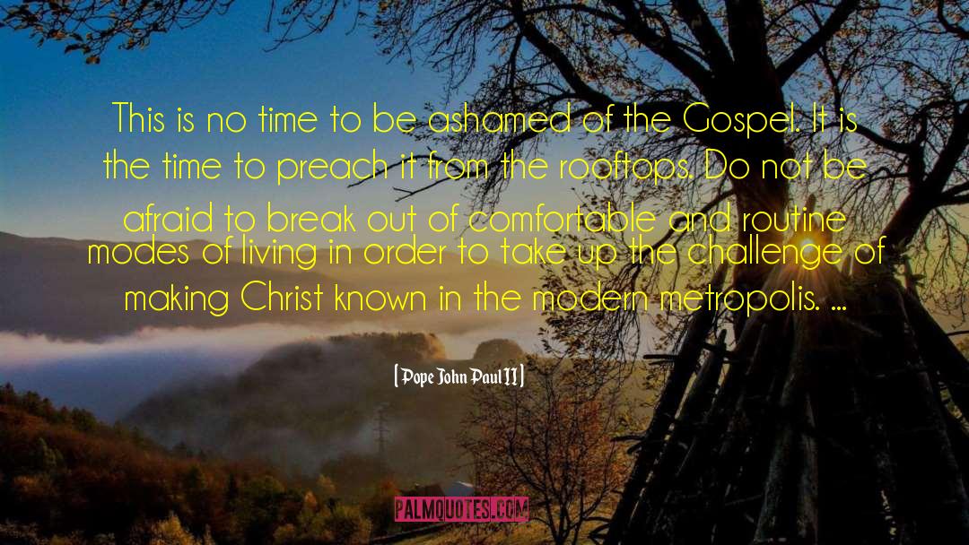 Challenges Of Lifeof Life quotes by Pope John Paul II