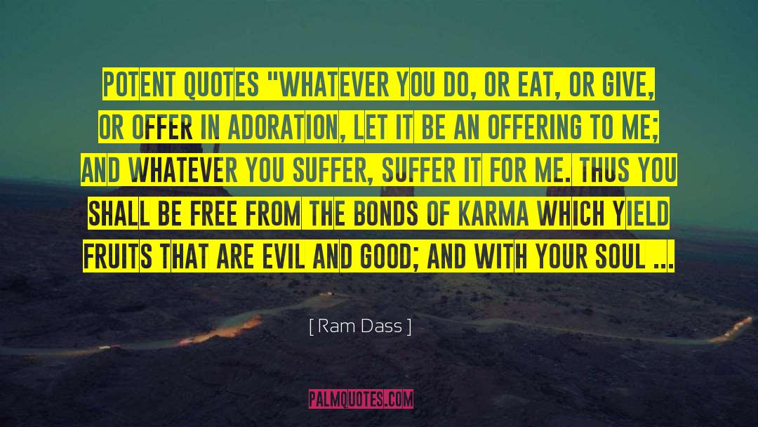 Challenging Evil quotes by Ram Dass