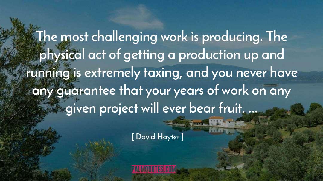 Challenging Work quotes by David Hayter