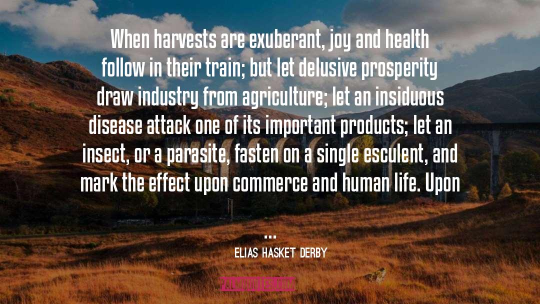 Chamber Of Commerce quotes by Elias Hasket Derby