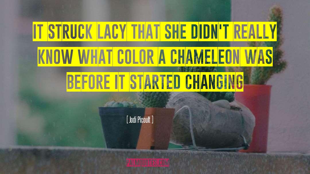 Chameleon quotes by Jodi Picoult