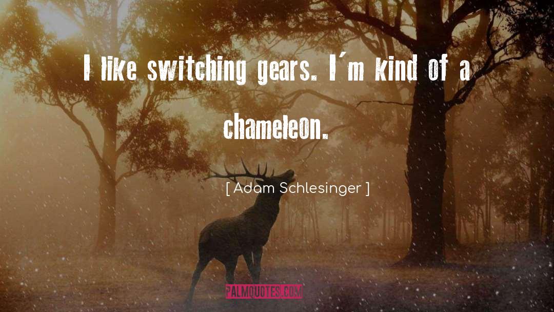 Chameleon quotes by Adam Schlesinger