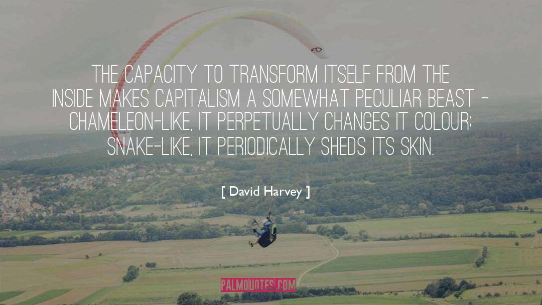 Chameleon quotes by David Harvey