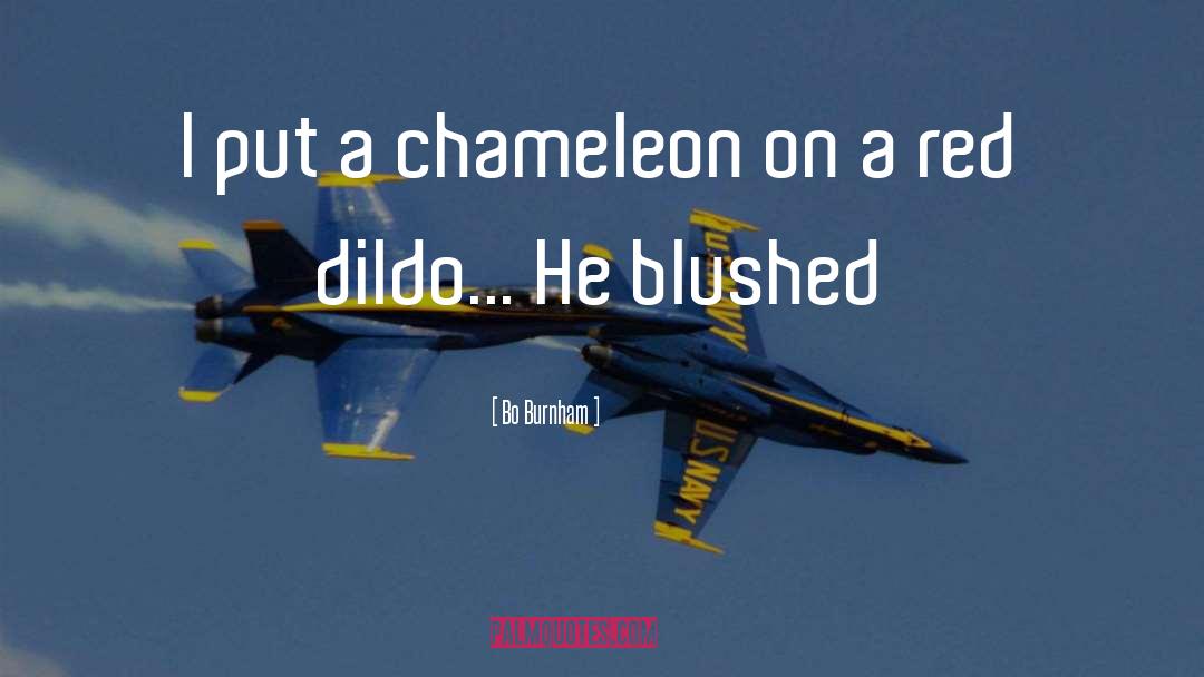 Chameleon quotes by Bo Burnham