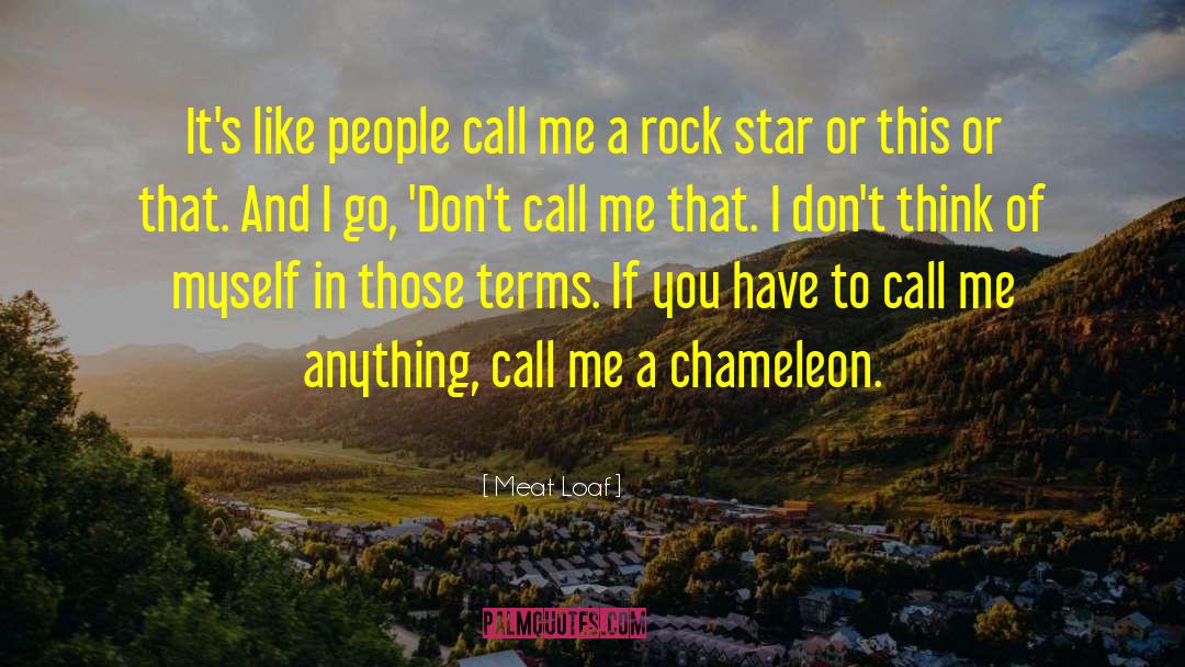 Chameleon quotes by Meat Loaf