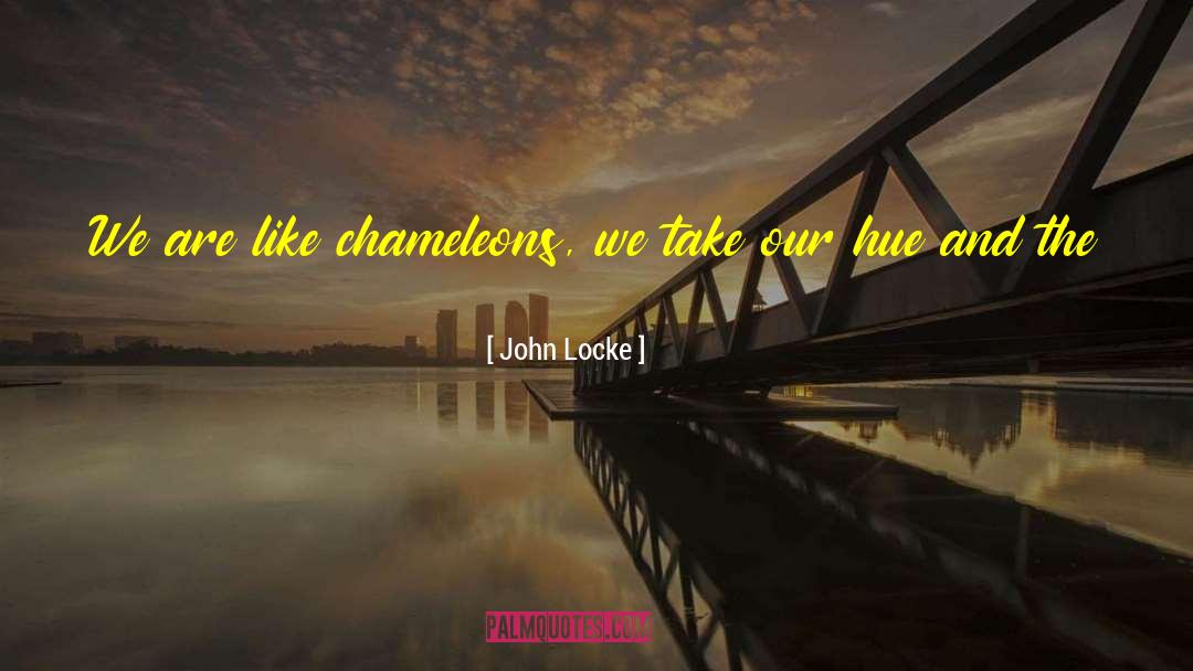 Chameleons quotes by John Locke