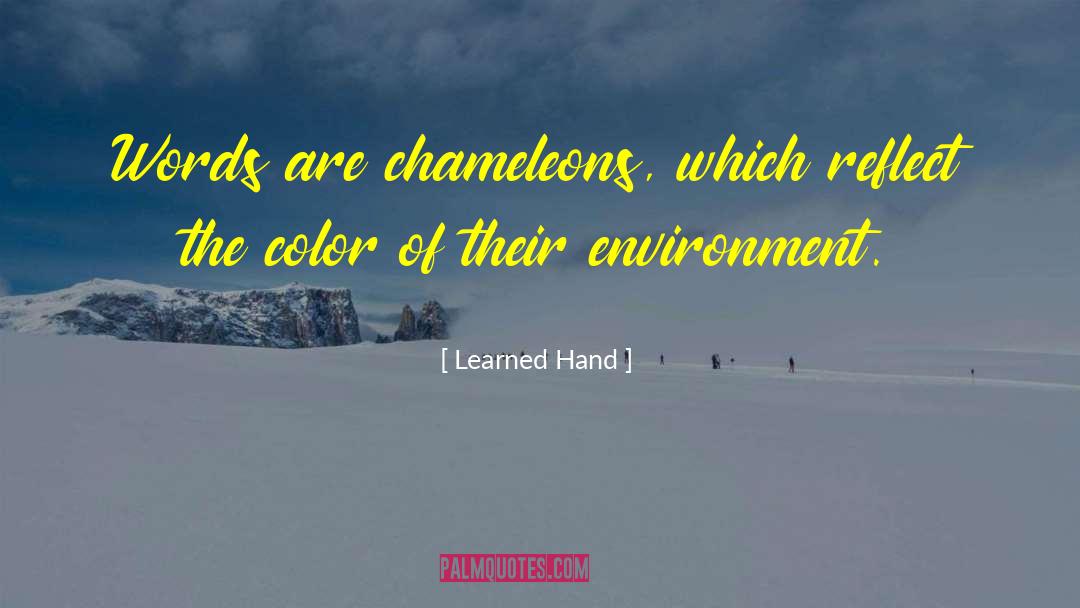 Chameleons quotes by Learned Hand