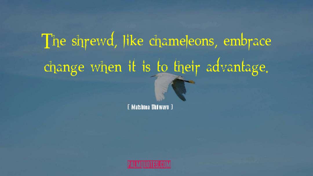 Chameleons quotes by Matshona Dhliwayo