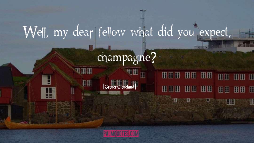 Champagne quotes by Grover Cleveland