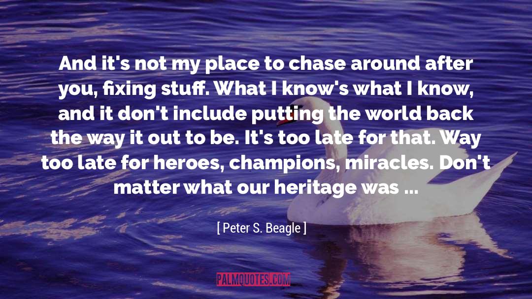 Champions quotes by Peter S. Beagle