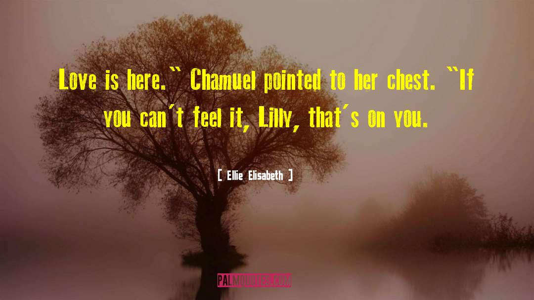 Chamuel quotes by Ellie Elisabeth