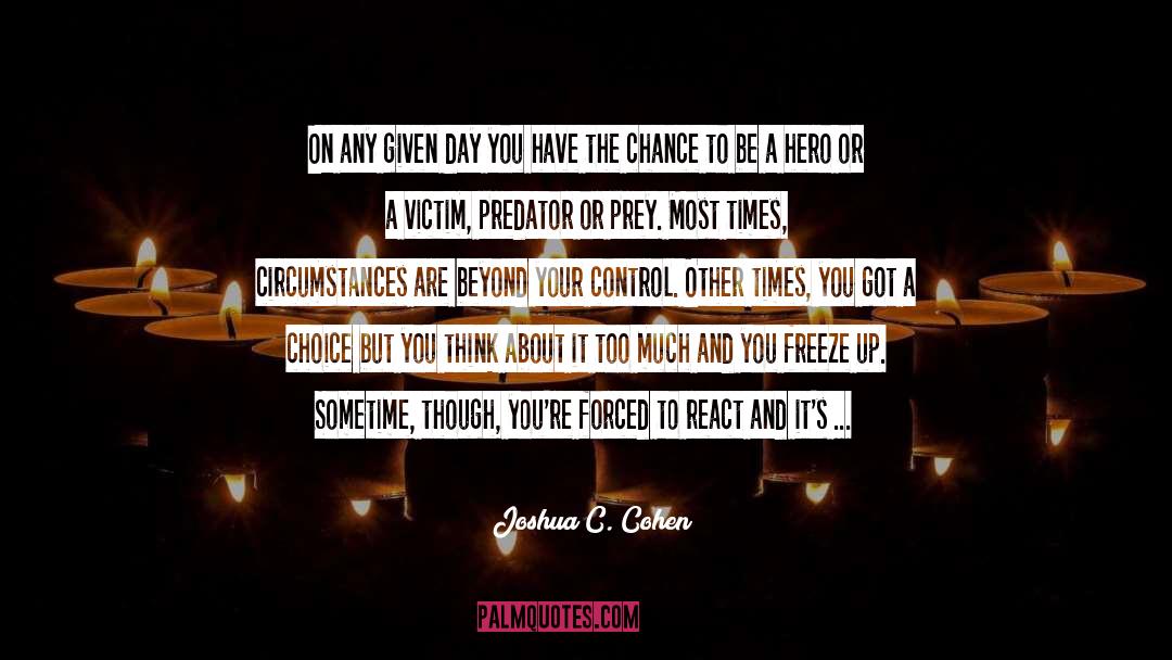 Chance And Fortune quotes by Joshua C. Cohen