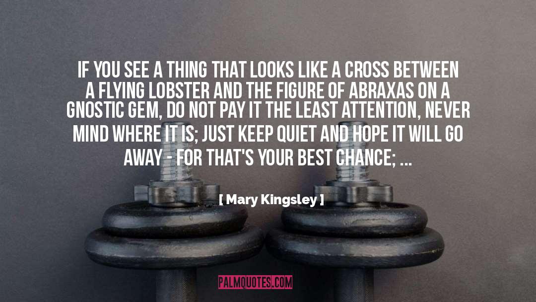 Chance And Fortune quotes by Mary Kingsley