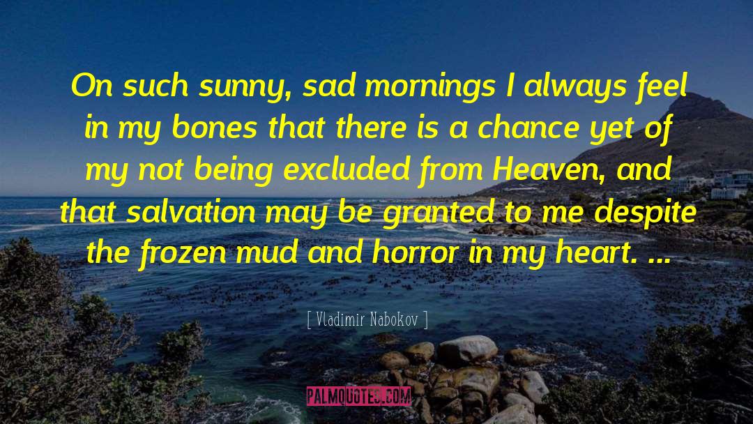 Chance And Fortune quotes by Vladimir Nabokov