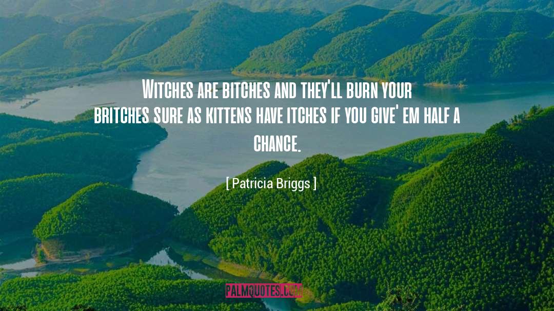 Chance And Risk quotes by Patricia Briggs