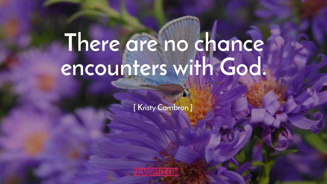 Chance Encounters quotes by Kristy Cambron