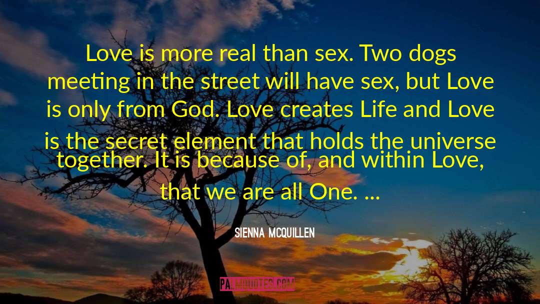 Chance Meeting Love quotes by Sienna McQuillen