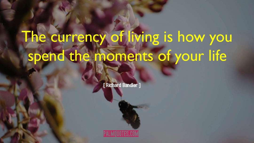 Chance Of Your Life quotes by Richard Bandler