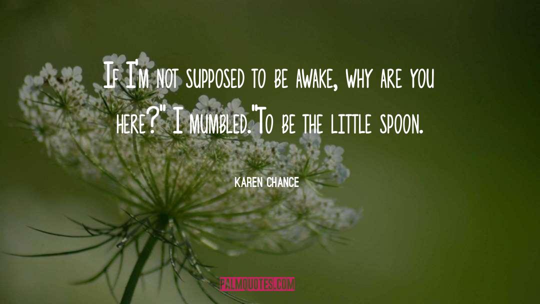 Chance quotes by Karen Chance