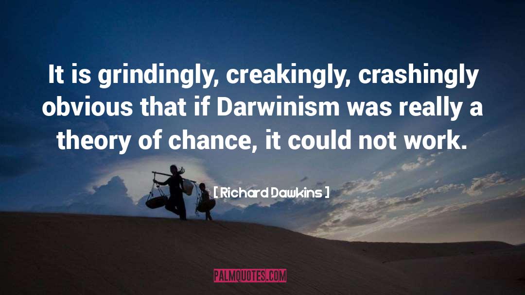 Chance Traveller quotes by Richard Dawkins