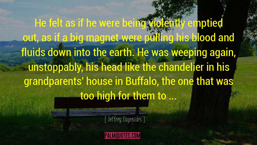Chandelier quotes by Jeffrey Eugenides