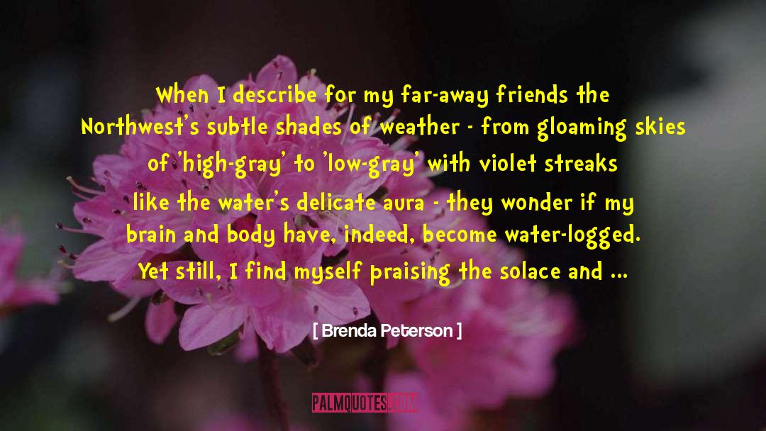 Chandertal Lake quotes by Brenda Peterson